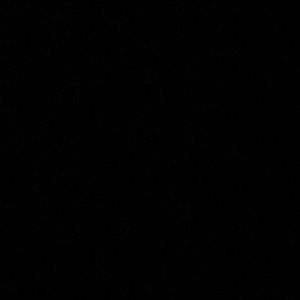 Meet your Posher, Sebastian